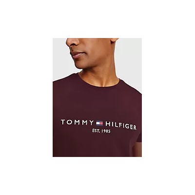 Embroidered Tommy Logo T-Shirt