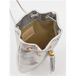 fo2027 dollaro argento