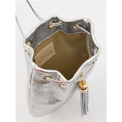 fo2027 dollaro argento