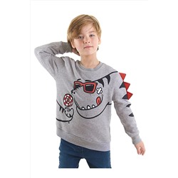 Denokids Şekerci Dinozor Erkek Çocuk Gri Sweatshirt CFF-22S1-097