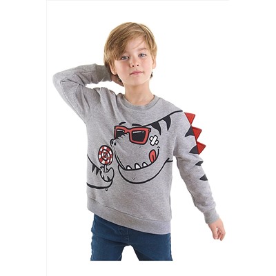Denokids Şekerci Dinozor Erkek Çocuk Gri Sweatshirt CFF-22S1-097