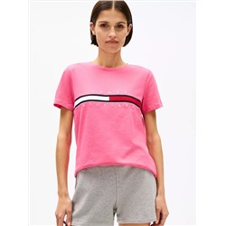 Embroidered Flag Stripe Logo T-Shirt