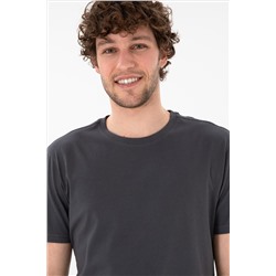 Erkek Regular Fit Bisiklet Yaka Antrasit Basic Tişört