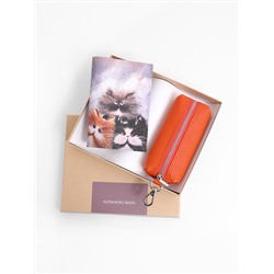 кab SET290-Orange НАБОР