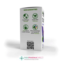 ArkoPharma ArkoGélules - Desmodium - Protecteur Hépatique - 45 gélules