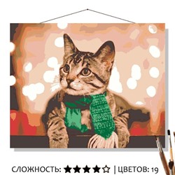«ЗЕЛЁНЫЙ ШАРФИК»