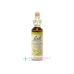 Fleurs de Bach Clematis (clématite) Réaliste, exprimer ses talents 20ml