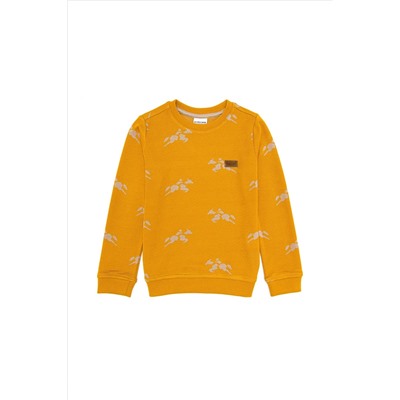 Erkek Çocuk Safran Sweatshirt