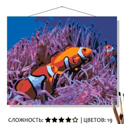 «РЫБЫ-КЛОУНЫ»