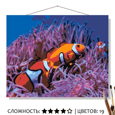«РЫБЫ-КЛОУНЫ»