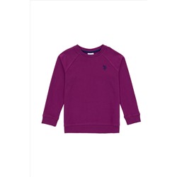 Erkek Çocuk Menekşe Basic Bisiklet Yaka Sweatshirt