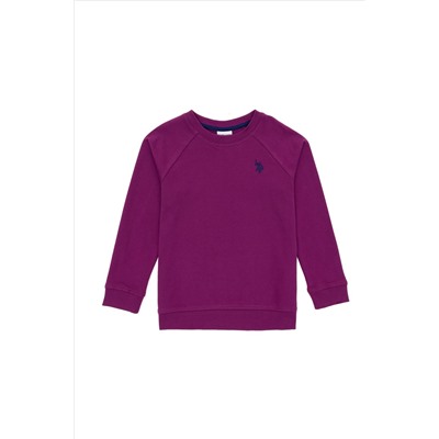 Erkek Çocuk Menekşe Basic Bisiklet Yaka Sweatshirt