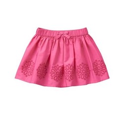 Embroidered Skirt