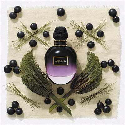 ALEXANDER MCQUEEN DARK PAPYRUS edp (w) 1.5ml пробник