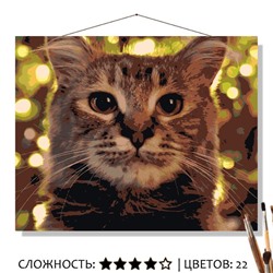 «НОВОГОДНИЙ»