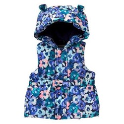 Hooded Puffer Vest