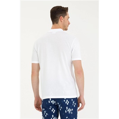 Erkek Kiremit Polo Yaka Tişört