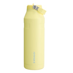 The IceFlow™ Bottle with Flip Straw Lid | 50 OZ
