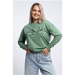 Толстовка 80048