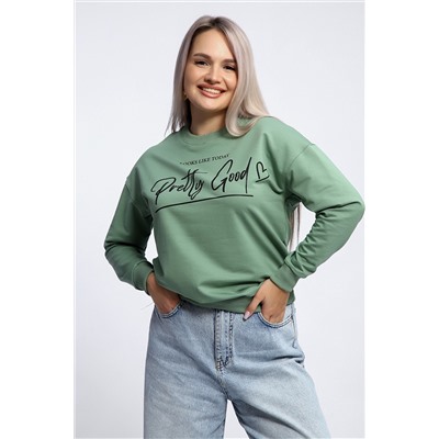 Толстовка 80048