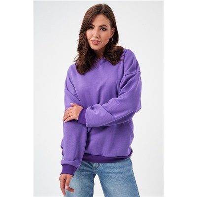 52717 Толстовка женская без начеса