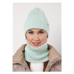Комплект (Шапка+Снуд) CLEVER, 1068676