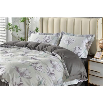 КПБ Astella евро с 2 наволочками