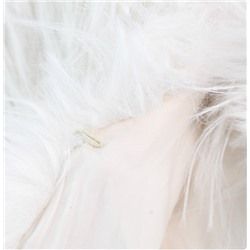 Женская жилет-куртка