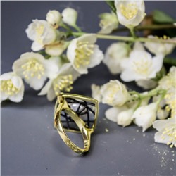 Кольцо серебро 51843Y1B