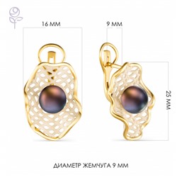 Серьги серебро 52848Y2H