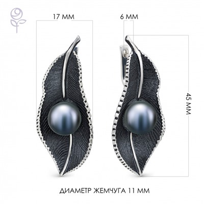 Серьги серебро 52800S2B