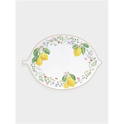 Блюдо, 30х21,5 см, фарфор P, овальное, белое, Цветы и лимоны, Fleurs et Citrons