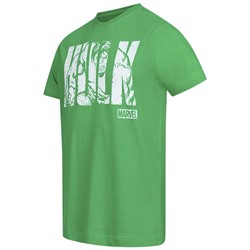 HULK Text MARVEL Herren T-Shirt FBMTS304GRN