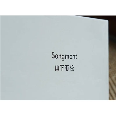 Трендовый обвес на сумку Экспорт Songmon*t
