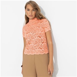 Водолазка из кружева, На что вы намекаете?