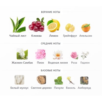 GIVENCHY ANGE ou DEMON LE SECRET edp (w) 100ml + стоимость флакона