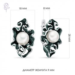 Серьги серебро 52238S1Z