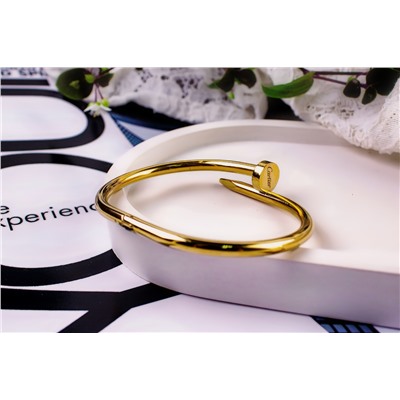 Стальной браслет Картье Гвоздь + Подарок