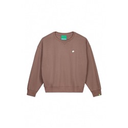 Sudadera felpa lisa marrón