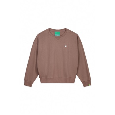 Sudadera felpa lisa marrón