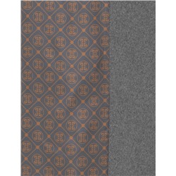 Antrasit Kaşe Kaban