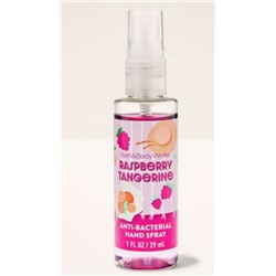 Raspberry Tangerine Hand Sanitizer Spray