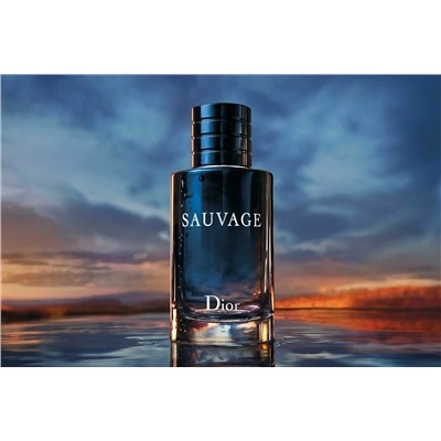 CHRISTIAN DIOR SAUVAGE edp (m) 60ml