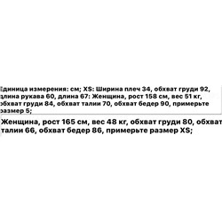 Женская рубашка Rail*s  с рукавами фонариками Экспорт