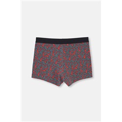 Dagi Siyah 5210 Pamuk Desenli Boxer