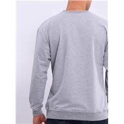 Лонгслив мужской футер двухнитка, Арт. 810