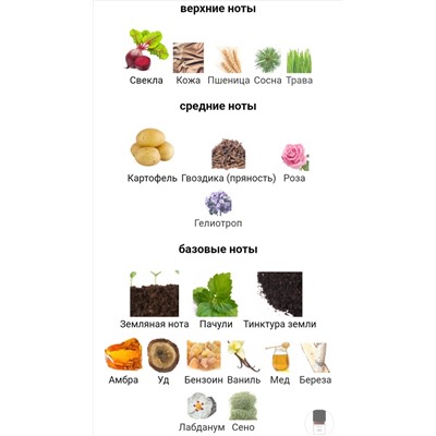 BOHOBOCO POLISH POTATOES 50ml parfume + стоимость флакона