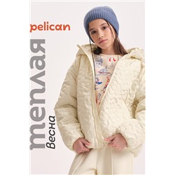 Ветровка PELICAN, 1104326