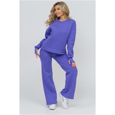 Костюм 36592 (свитшот + брюки) НАТАЛИ #811319
