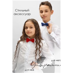 Бабочка СОЛЬ&ПЕРЕЦ, 972256